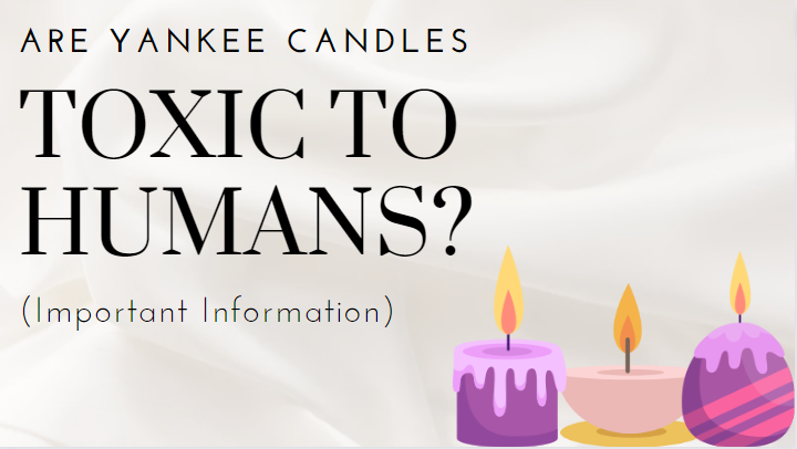 Are Yankee Candles Toxic To Humans? (Important Information)