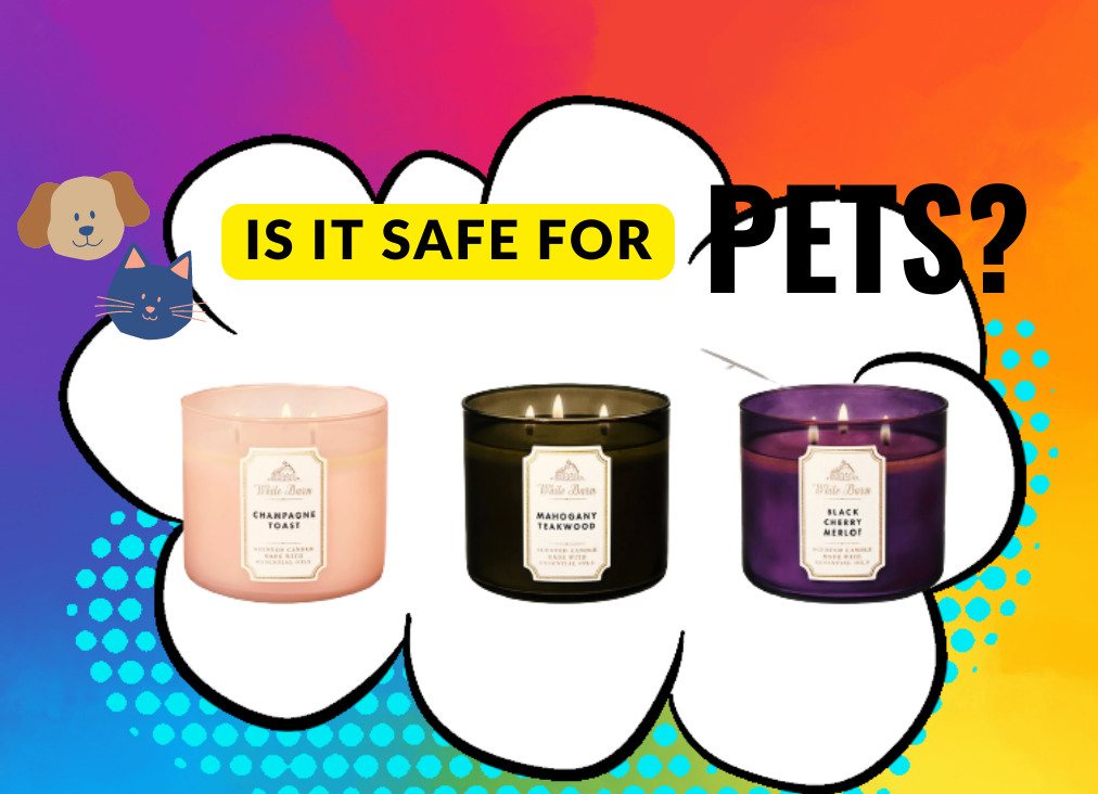 Are Bath and Body Works Candles Safe For Cats and Dogs? (Keep Safe)
